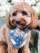 Load image into Gallery viewer, harvest