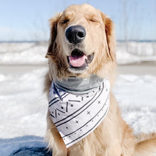 Load image into Gallery viewer, wild and free