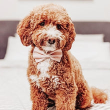 Load image into Gallery viewer, april showers bow tie
