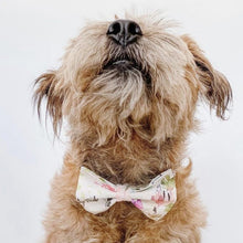 Load image into Gallery viewer, you grow girl bow tie