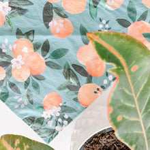 Load image into Gallery viewer, orange you glad to see me