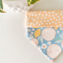 Load image into Gallery viewer, main squeeze