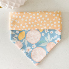 Load image into Gallery viewer, main squeeze