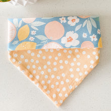 Load image into Gallery viewer, main squeeze