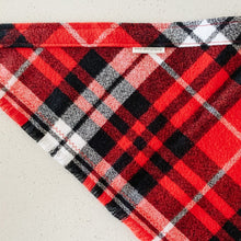 Load image into Gallery viewer, apple cider