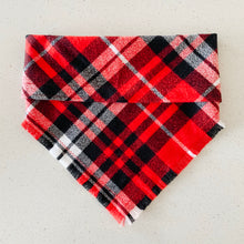 Load image into Gallery viewer, apple cider