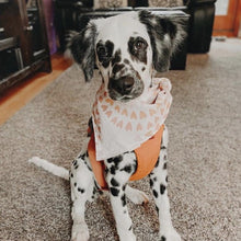 Load image into Gallery viewer, sunshine