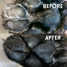 Load image into Gallery viewer, bean balm