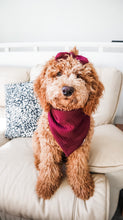 Load image into Gallery viewer, fireside