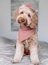 Load image into Gallery viewer, spring fling