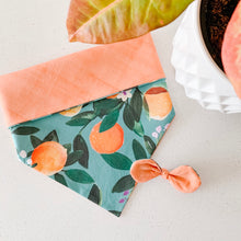 Load image into Gallery viewer, orange you glad to see me