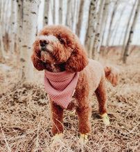 Load image into Gallery viewer, spring fling