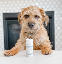 Load image into Gallery viewer, bean balm