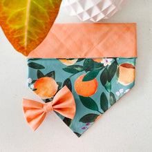 Load image into Gallery viewer, orange you glad to see me bow tie