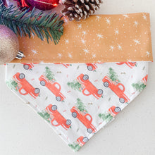 Load image into Gallery viewer, christmas vacation