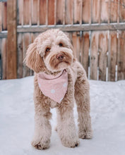 Load image into Gallery viewer, april showers