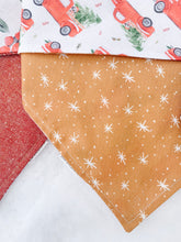 Load image into Gallery viewer, christmas vacation