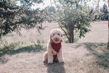 Load image into Gallery viewer, fireside