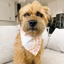 Load image into Gallery viewer, sunshine