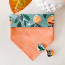 Load image into Gallery viewer, orange you glad to see me