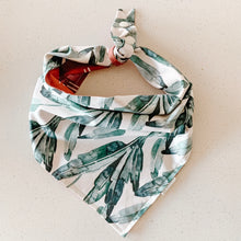 Load image into Gallery viewer, snaps add on