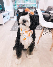 Load image into Gallery viewer, tangerine dream bow