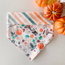 Load image into Gallery viewer, witches brew