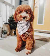 Load image into Gallery viewer, wild and free