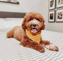 Load image into Gallery viewer, golden hour