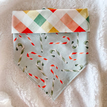 Load image into Gallery viewer, candy cane lane