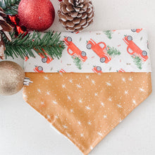 Load image into Gallery viewer, christmas vacation