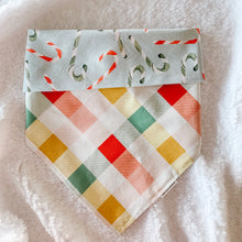 Load image into Gallery viewer, candy cane lane