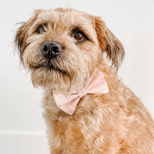 Load image into Gallery viewer, april showers bow tie
